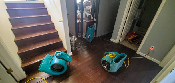 Best Basement water damage restoration  in , ME