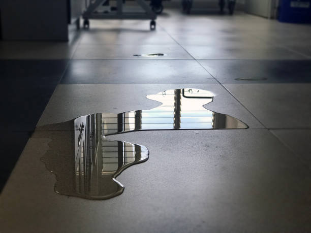 Best Water damage restoration near me  in , ME