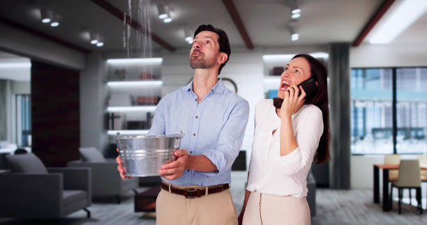 Best Water damage restoration experts  in , ME