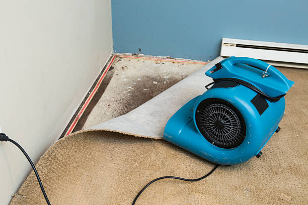 Best 24/7 water damage repair  in , ME